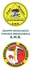 gruppo micologico dell'etruria meridionale